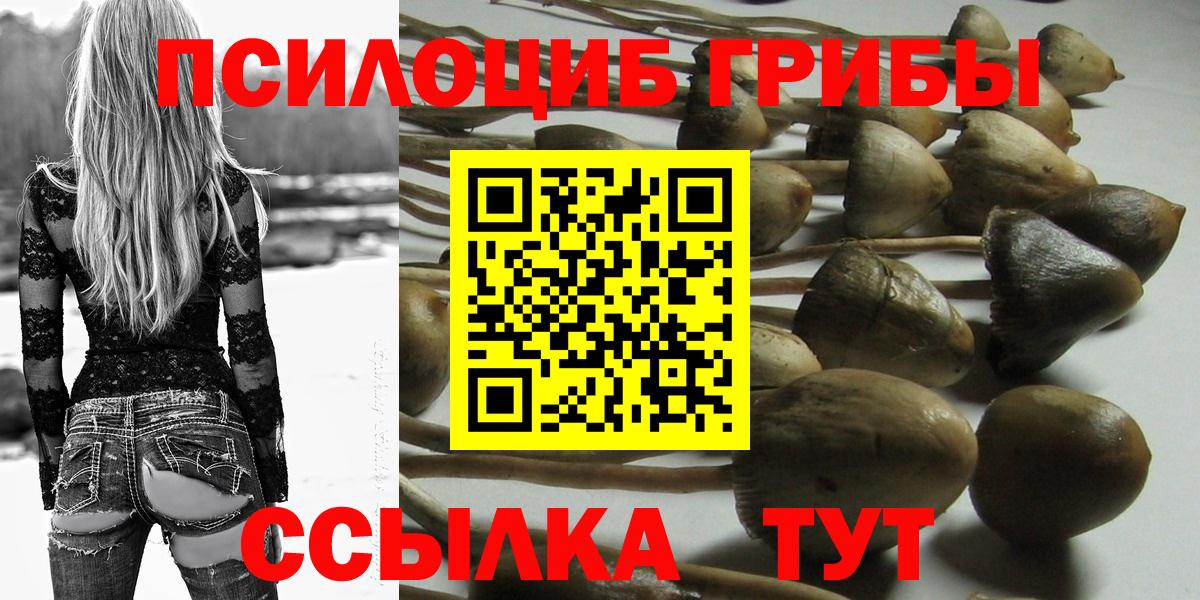 Галлюциногенные грибы Psilocybe Мыски