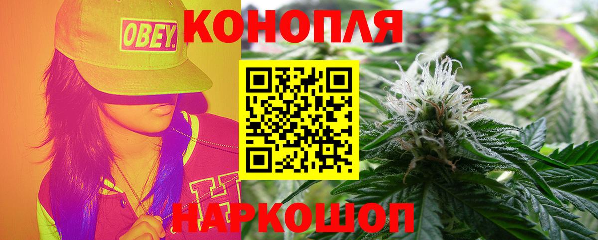 МАРИХУАНА сатива Мыски